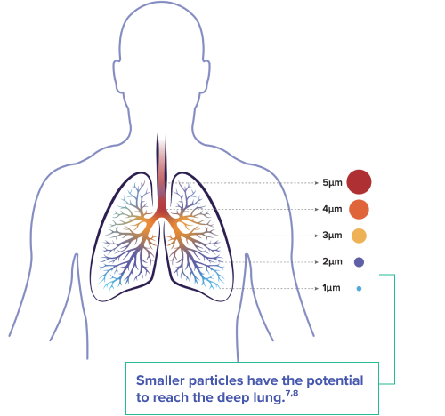 Diagram showing that smaller particles have the potential to reach the deep lung