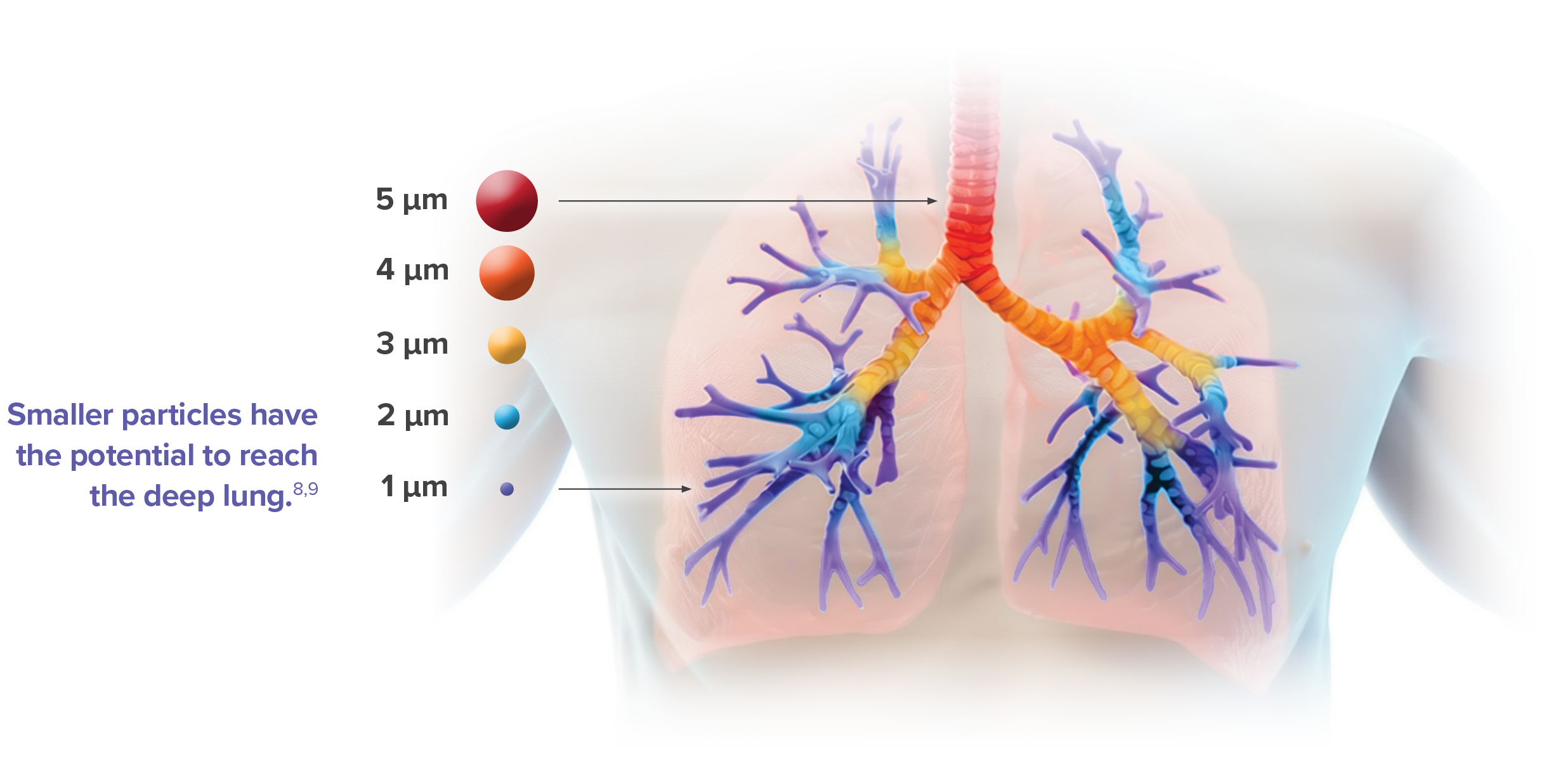 YUTREPIA particle size deep lung delivery diagram
